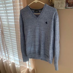 Express v neck sweater